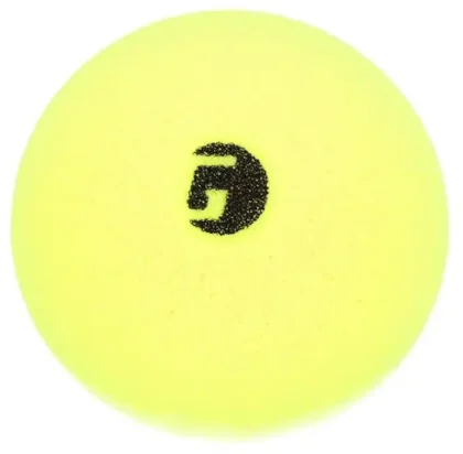 Librarian, la balle de pickleball d'intérieur silencieuse Gamma en mousse
