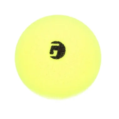 Librarian, the quiet Gamma indoor pickleball ball made of foam