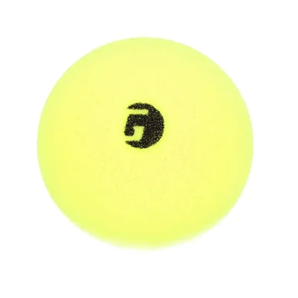Librarian, der leise Gamma Indoor Pickleball Ball aus Schaumstoff